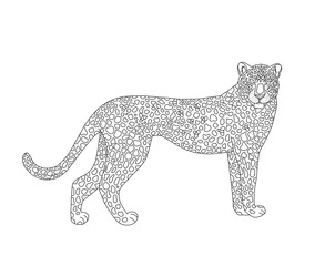 Vector coloring book for children and adults with a leopard. A rare animal listed in the Red Book, the cat family. A beautiful graceful animal with a skin in a small spot. Coloring page series Animals