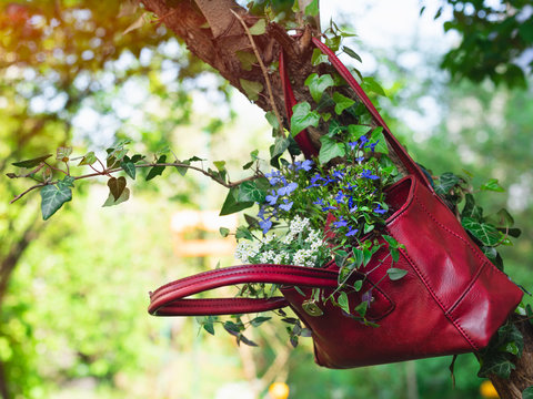 Flowers growing from an old recycle and upcycle bag, hanging in the garden. Sustainable gardening concept. Idea for a flowerbed