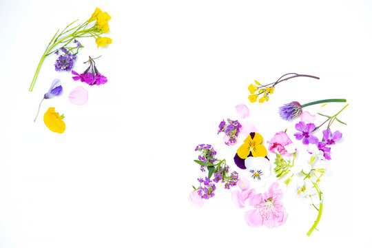 Edible flowers on the white background
