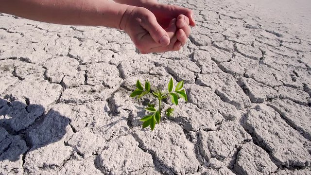 Man pours water from his palms in the desert. Drought Anticyclone Global Warming. Plants And Nature Dying, spring season. Weather Phenomenon Extreme Heat And Drought.
