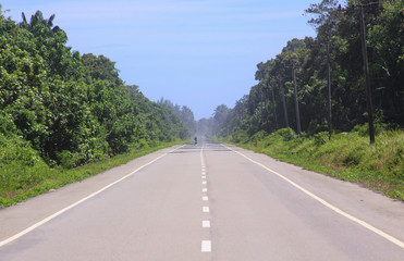 Naklejka premium Straight road in Aceh, Sumatra, Indonesia