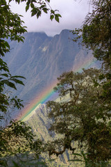 Rainbow seen through vegetation on Inca Trail Peru