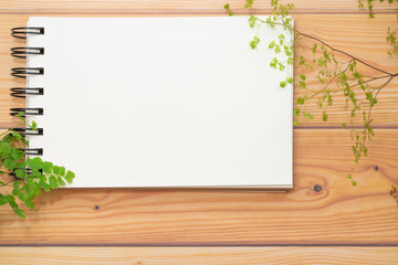 スケッチブック　木目　観葉植物