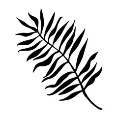 Silhouette of tropical leaf. Vector black and white palm leaf symbol.