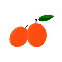 Vector illustration ripe apricot, berries icon