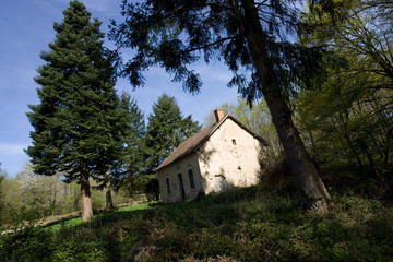 Paysage dans la campagne auvergnate