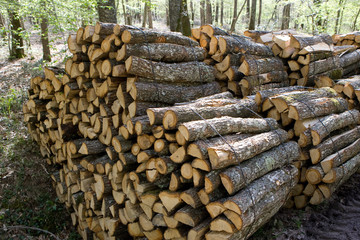 Paysage dans la campagne auvergnate