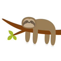 Sloth hanging on tree branch leaf. Cute cartoon kawaii funny lazy baby character. Wild joungle animal collection. Kids education. Isolated. White background. Flat design