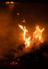 Flames burn brightly with red, orange, and yellow highlights. Fires, fire in the forest and in houses