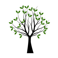 Green Tree. Spring Tree in Garden. Vector Illustration.