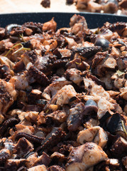 Octopus small chopped bites, street food festival. Seafood festival.