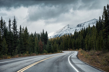 Fototapeta premium Asfaltowa autostrada w lesie jesienią w ponury dzień w parku narodowym Banff