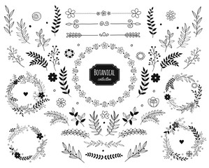 Hand drawn vector floral elements. Branches and leaves. Herbs and plants collection. Vintage botanical illustrations and floral wreaths. - obrazy, fototapety, plakaty