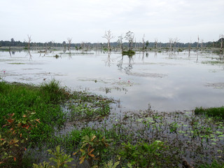 風景（カンボジア）
