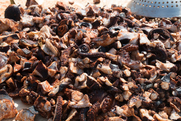 Octopus small chopped bites, street food festival. Seafood festival.