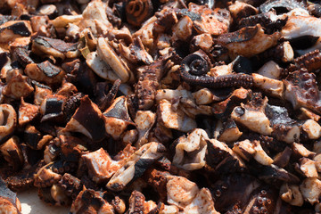 Octopus small chopped bites, street food festival. Seafood festival.