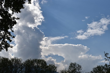Cumulus Wolke