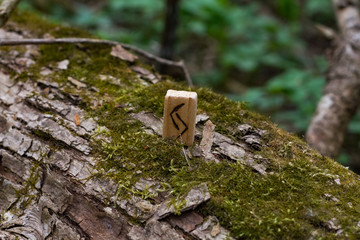 Top view of one wooden rune that stands on a tree among the moss. Symbol of the runic circle, alphabet
