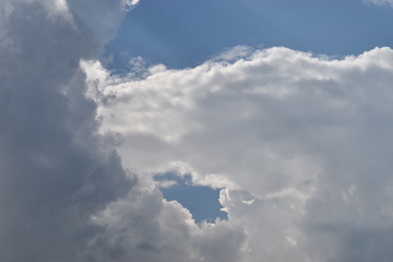 Cumulus Wolke