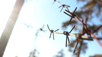 Obraz premium old barbed wire