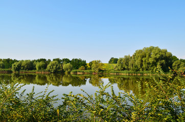 nature, river, summer