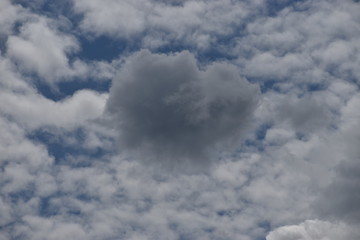 Cumulus Wolke