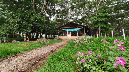 eggs production agroindustry