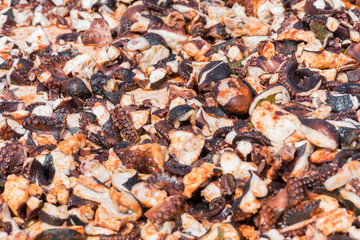 Octopus small chopped bites, street food festival. Seafood festival.