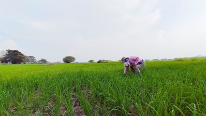 People and agriculture