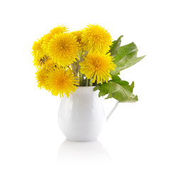 Dandelion yellow flowers isolated on white background. Spring background