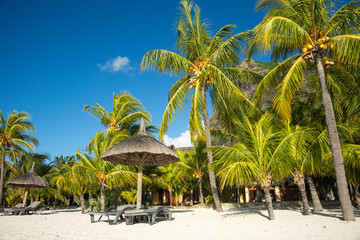 Fototapeta na wymiar mauritian resort