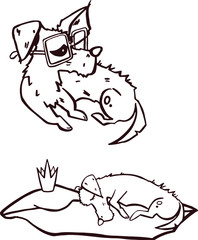 Dogs collection. Vector illustration of funny cartoon different breeds dogs in trendy flat style. Isolated on white.