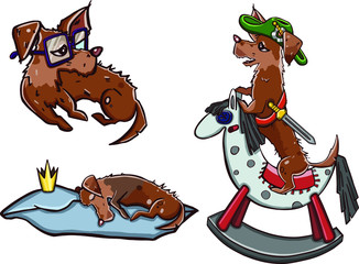 Dogs collection. Vector illustration of funny cartoon different breeds dogs in trendy flat style. Isolated on white.