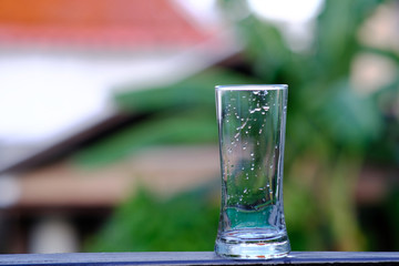 glass of water on green background