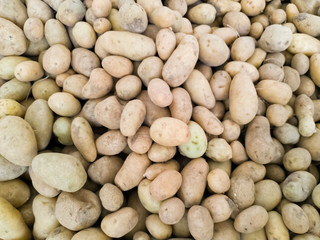 POTATOES FROM MY GARDEN ORGANIC VEGETABLE BACKGROUND ABSTRACT TEXTURE 