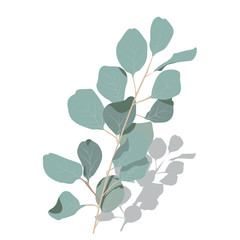 Vector stock illustration of eucalyptus leaves. Delicate tropical leaves for the bride's bouquet. A branch of mint-colored flowers. Spring or summer flowers for invitation, wedding or greeting cards. 