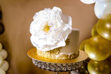 wedding cake on a white background