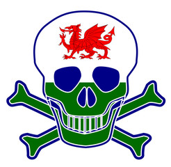 Welsh Flag Skull