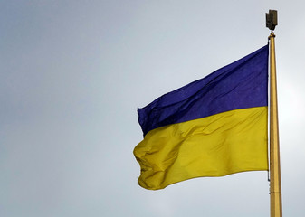 Ukrainian flag
