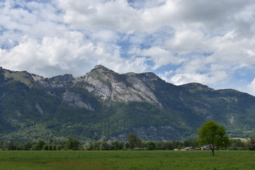 Naklejka premium Naturfotografie