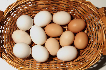 organic eggs in the basket