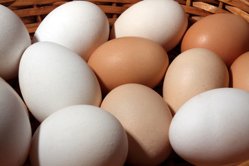 organic eggs in the basket