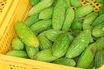 Pile of bitter melon (or karela) in plastic crates at market stand in Little India, Singapore