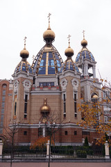Obraz premium Church of the Nativity on Obolon in Kiev