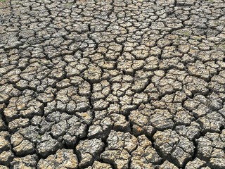 dry cracked ground earth.