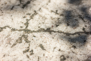 dirty old cement floor texture