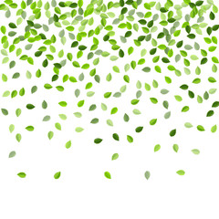 Green Foliage Tree Vector Wallpaper. Fly Leaves 