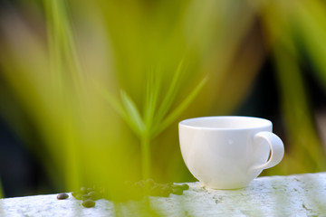 cup of coffee