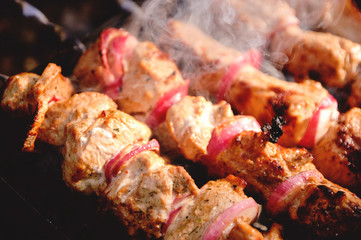 kebab in the spring in the forest with smoke and backlight,BBQ