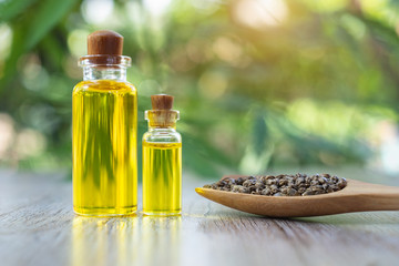 Hemp oil in a glass bottle And the seeds in a wooden spoon The idea of using oil extracted from cannabis to treat diseases. Alternative medicine Herbs extracted from CBD.